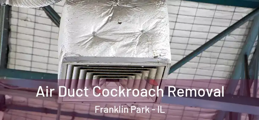  Air Duct Cockroach Removal Franklin Park - IL