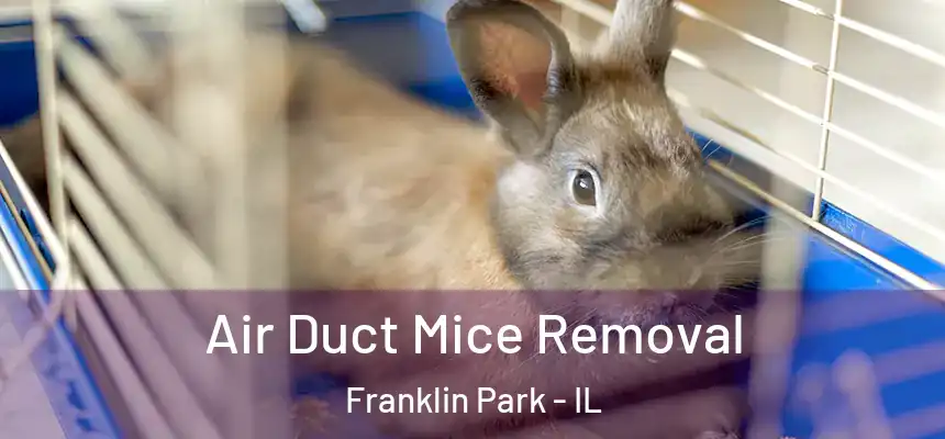  Air Duct Mice Removal Franklin Park - IL