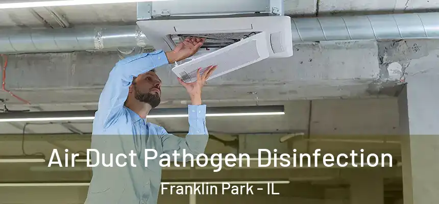  Air Duct Pathogen Disinfection Franklin Park - IL