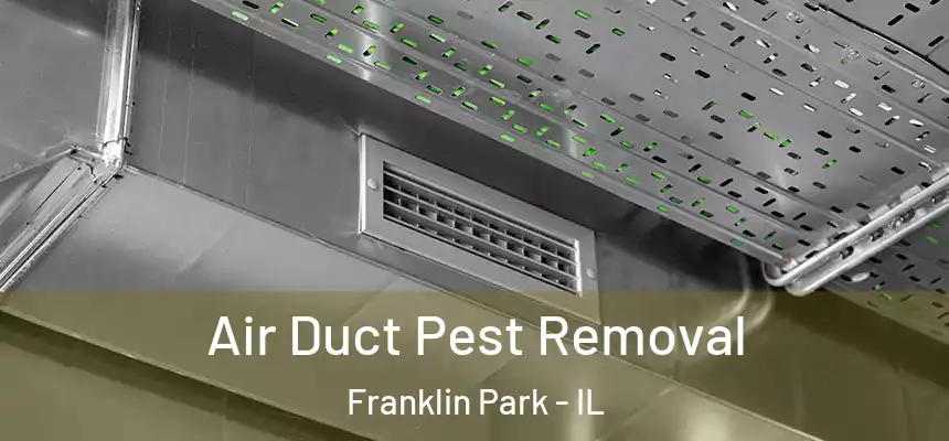 Air Duct Pest Removal Franklin Park - IL
