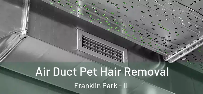 Air Duct Pet Hair Removal Franklin Park - IL