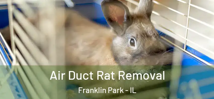  Air Duct Rat Removal Franklin Park - IL