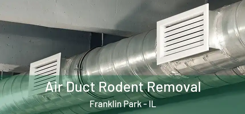 Air Duct Rodent Removal Franklin Park - IL