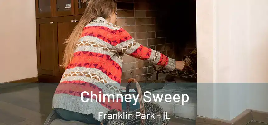  Chimney Sweep Franklin Park - IL