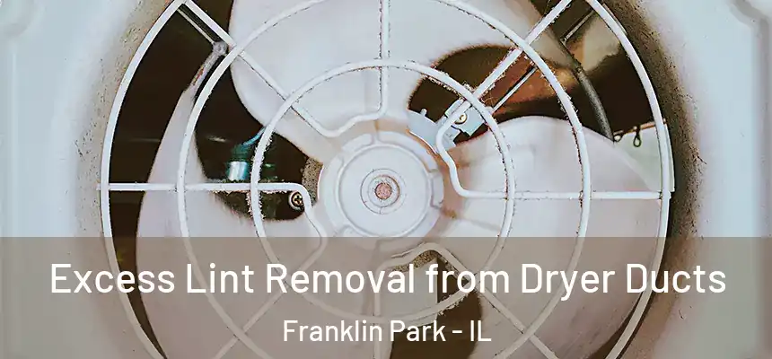 Excess Lint Removal from Dryer Ducts Franklin Park - IL