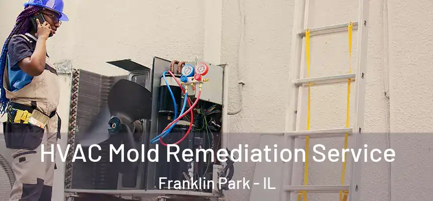 HVAC Mold Remediation Service Franklin Park - IL