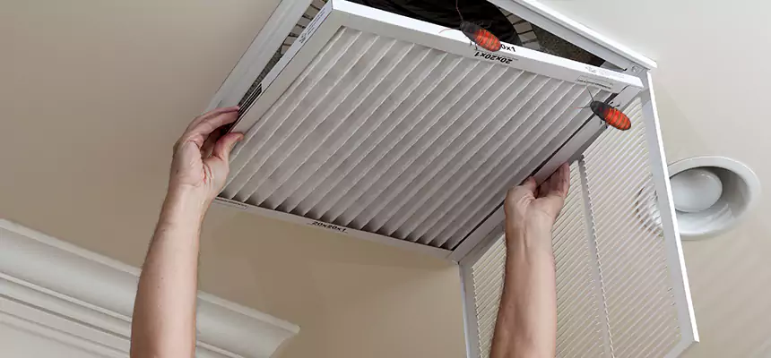 Preventive Cockroach-Proofing for Ducts in Franklin Park
