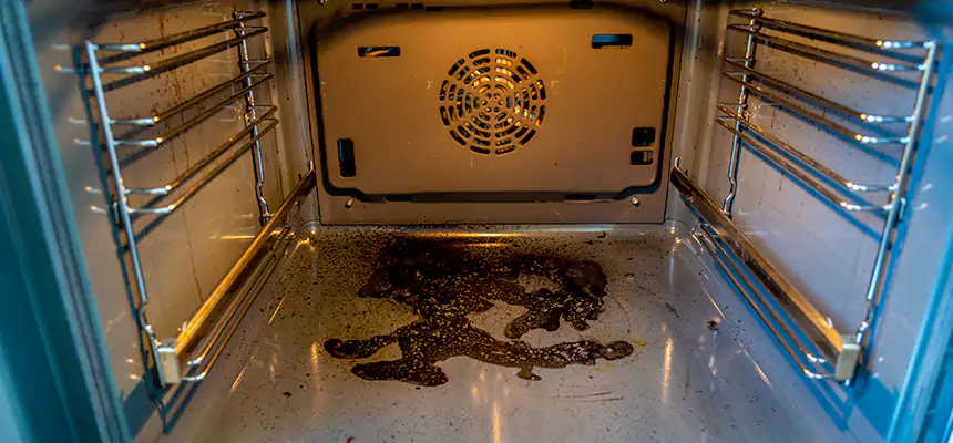 Our Dryer Vent Mold Cleaning Services in Franklin Park, IL