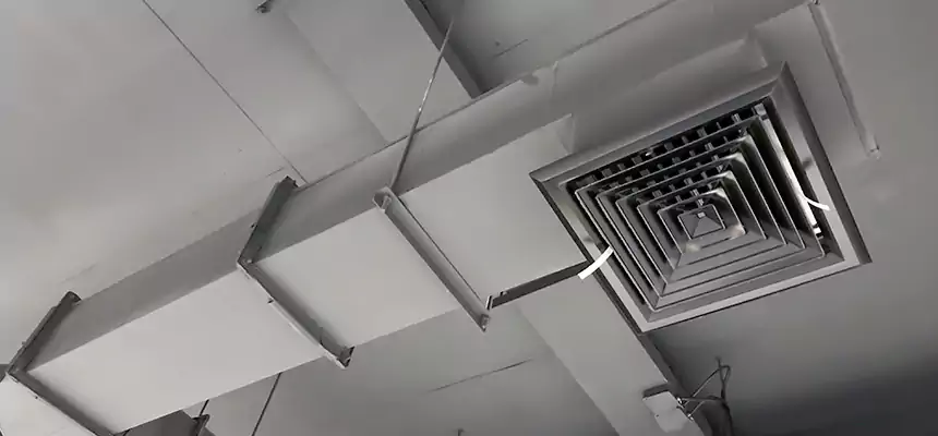 Our Rodent Droppings In Vents Services in Franklin Park, IL