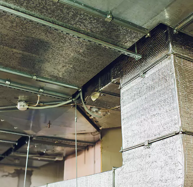 Why Homeowners & Businesses Trust Us in Franklin Park, IL?